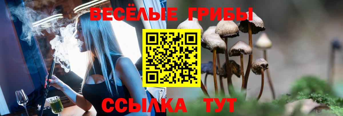 Галлюциногенные грибы ЛСД  дарнет шоп  Брянск  Вход с VPN 